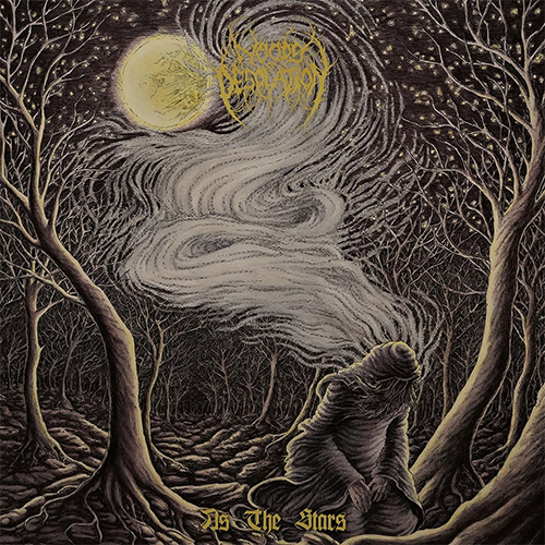 Woods Of Desolation - As The Stars LP