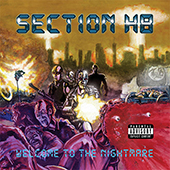 Section H8 - Welcome To The Nightmare (silver vinyl)